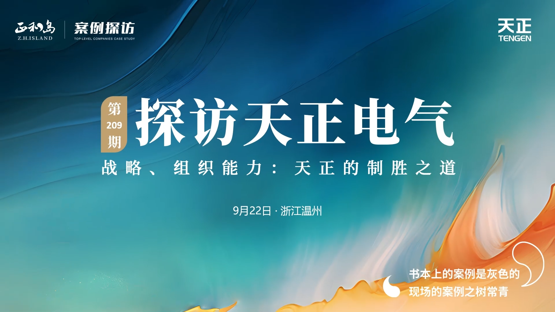 正和岛走进pg电子在线模拟器，探访制胜之道